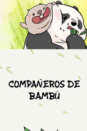 compa-eros-de-bambu-thumb