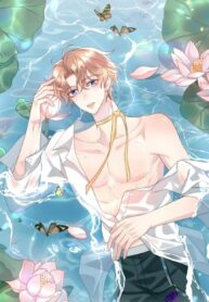 primer-amor-limitado-thumb