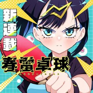 shunrai-table-tennis-thumb