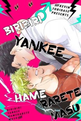 Biribiri_Yankee_Hameraretemasu6512.jpg