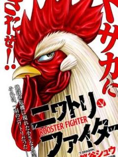 ROOSTER-FIGHTER.jpg