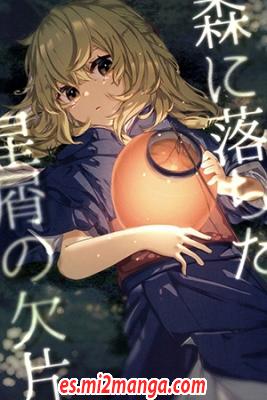 Touhou_Project_Mori_Ni_Ochita_Hoshikuzu_No_Kakera8988.jpg