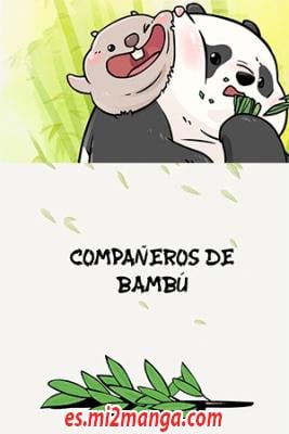 Compa_eros_De_Bambu3635.jpg