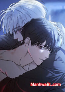 Querido osito de peluche