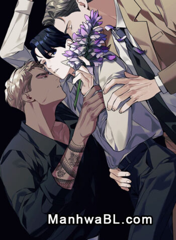 Acanthus manhwa