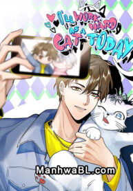 Tengo que trabajar duro para ser un gato hoy manhwa
