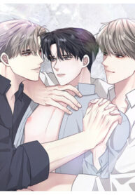 El medio de una hermandad