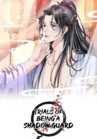 Es difícil ser un guardián de sombras