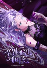 Las violetas que florecieron en el jardin