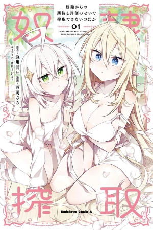 No puedo aprovecharme de mis esclavas por lo talentosas que son