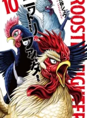 Rooster Fighter