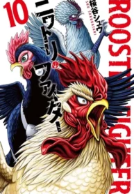 Rooster Fighter