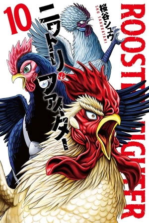 Rooster Fighter