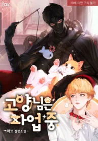 El gato está en huelga